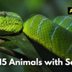 Top 15 Animals with Scales (Images and Facts)